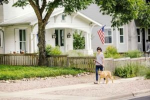Best Homeowners Insurance Companies for 2026